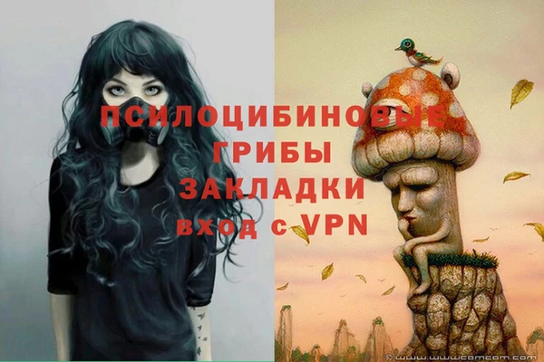 ешки Алексин