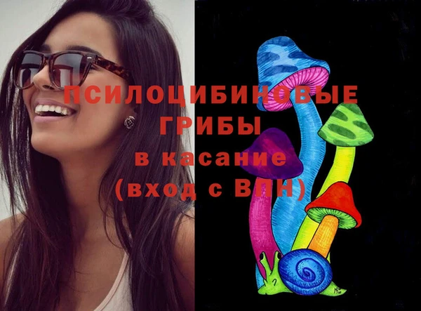 ешки Алексин